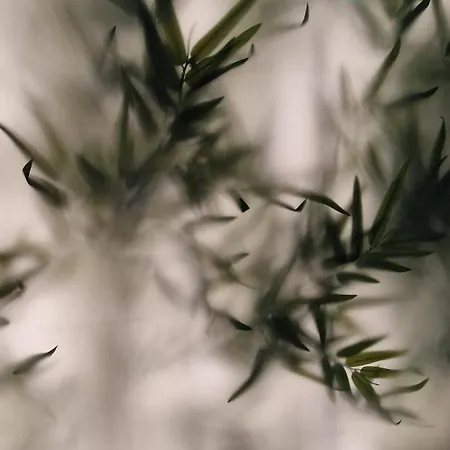 Hotel Noru Malta - Adults Only